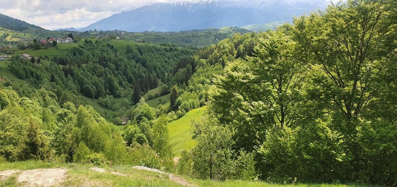 Mosorel Măgura 外观 照片